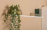 Миндаль полка